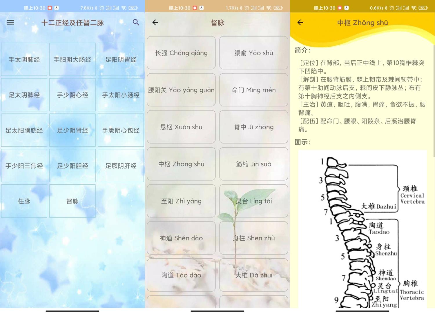 人体穴位图解v3.1.4可离线版功能截图1