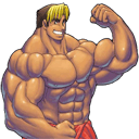 健身宝典v2.27免费无广告