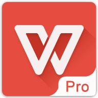 WPS Office Pro 永久专业版