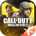COD界面替换v1.0