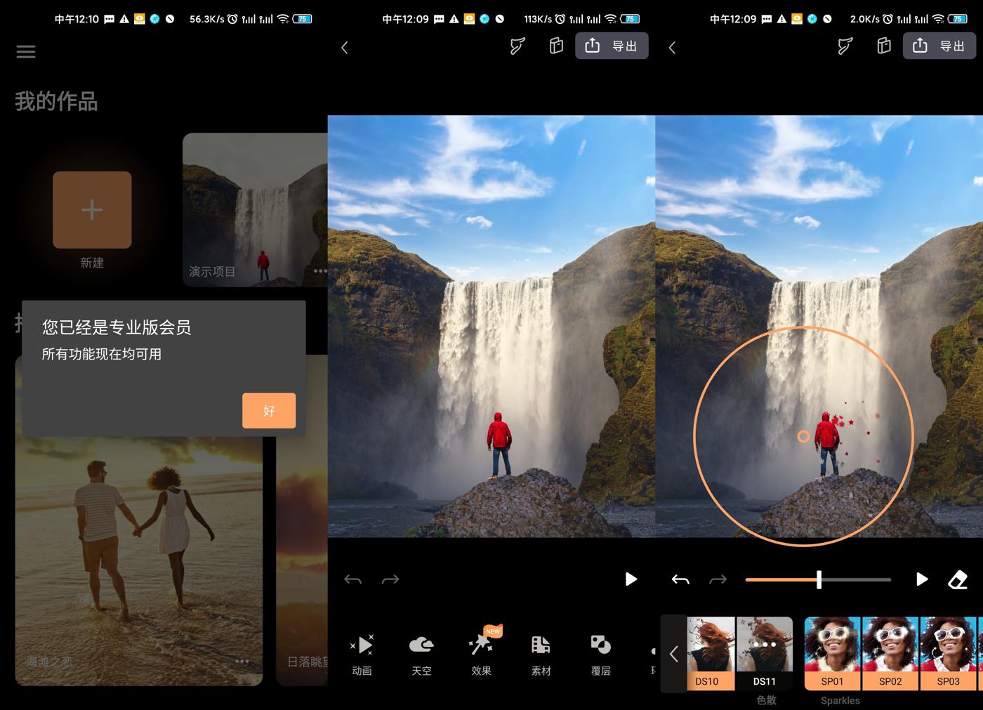 Pixaloop 1.2.5专业版功能截图1