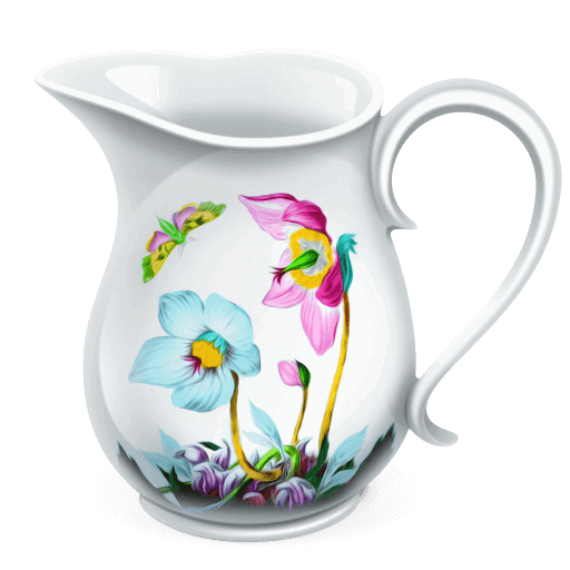 Charles v5.0.2 高级版