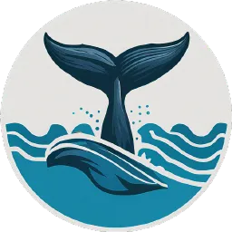 WhaleDown v2025.08.2 高级版 - 强大的在线视频与音频下载工具