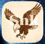 PUBGSnk容器直装图标