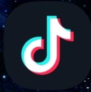 TikTok（海外版抖音）