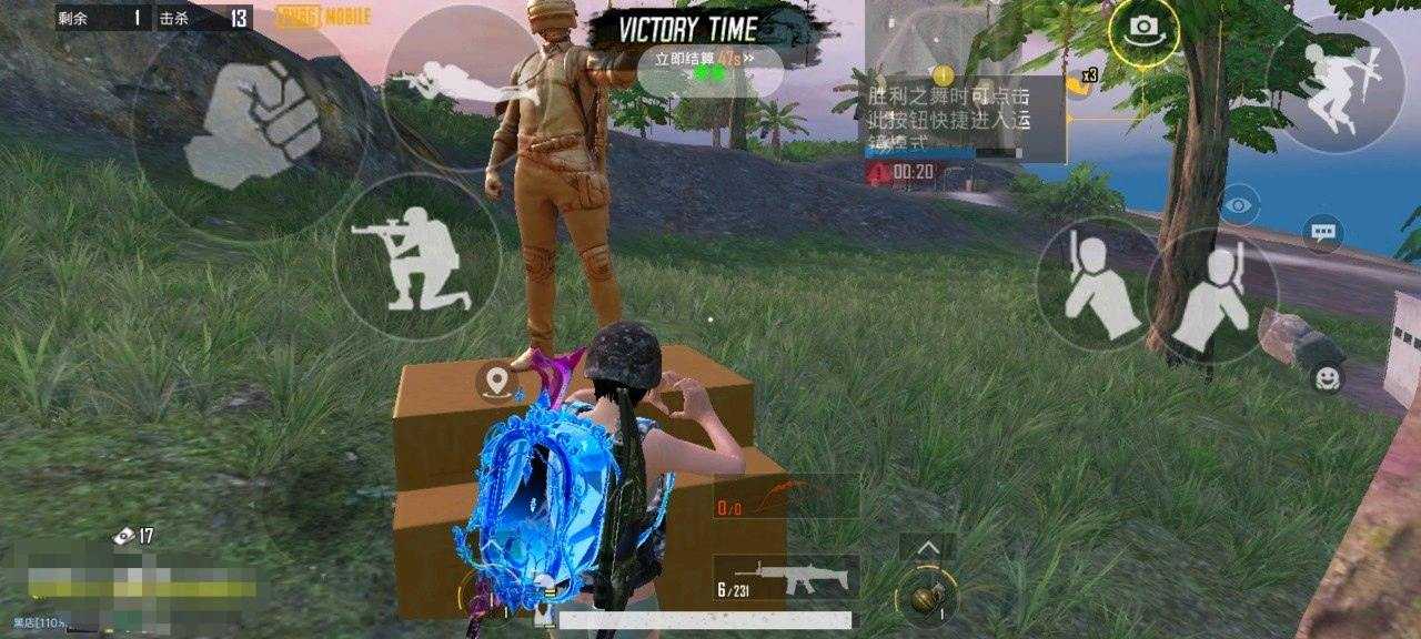 PUBG御庭摘希公益直装